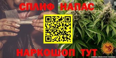 прущие крисы Ставрополь