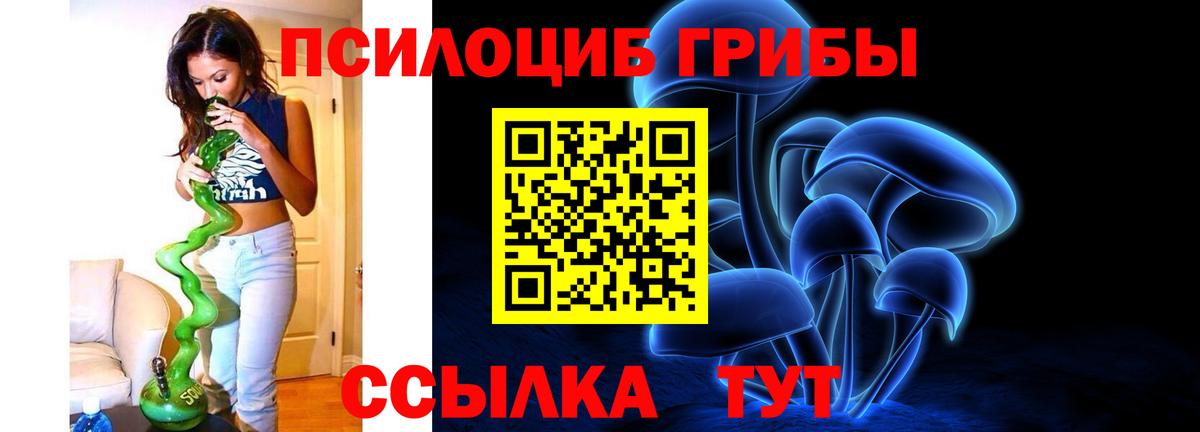 Галлюциногенные грибы Psilocybe  Вход с VPN  Новозыбков  Псилоцибиновые грибы ЛСД 